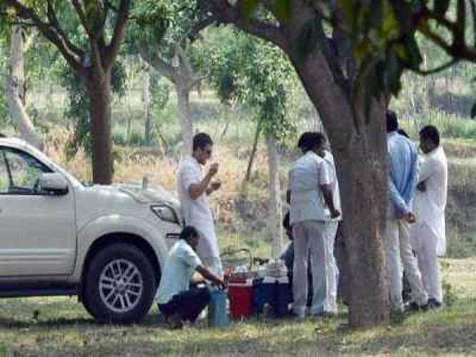 Congress president Rahul Gandhi routine in Amethi UP hindi News