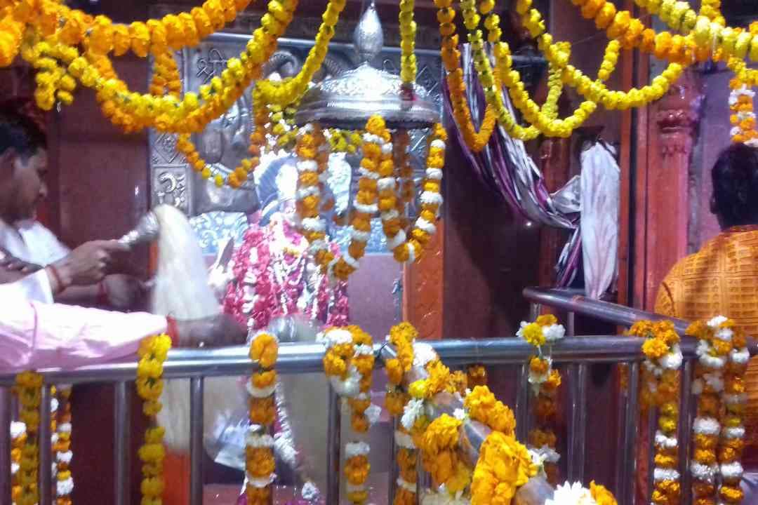 Sheetla Dham Holi