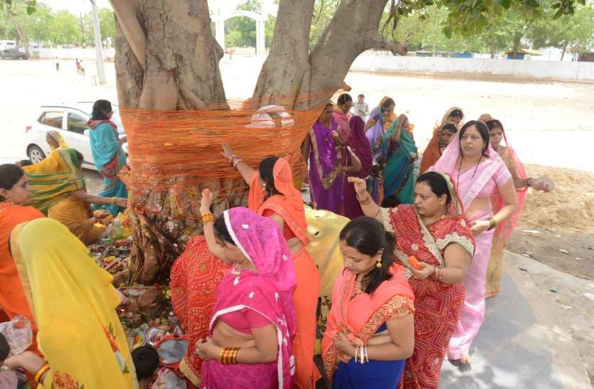 Photo Gallery : पति की दीर्घायु के लिए सुहागिनों ने की वट सावित्री की इस तरह की पूजा-अर्चना