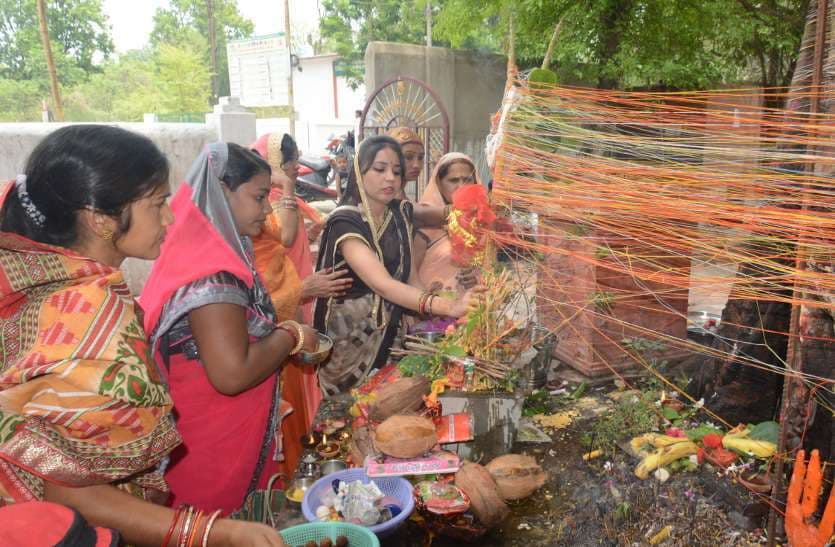 Photo Gallery : पति की दीर्घायु के लिए सुहागिनों ने की वट सावित्री की इस तरह की पूजा-अर्चना