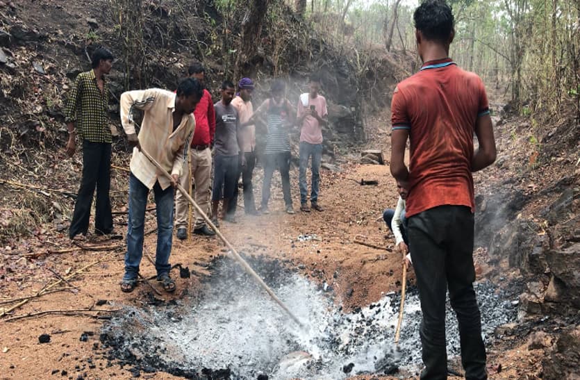 Dead bodies burnt in the forest