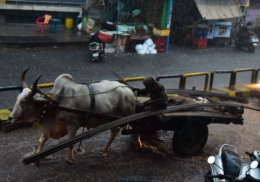 Rain in aligarh