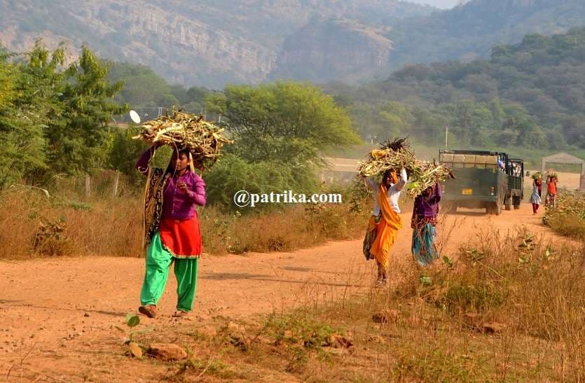 Ujjwala scheme