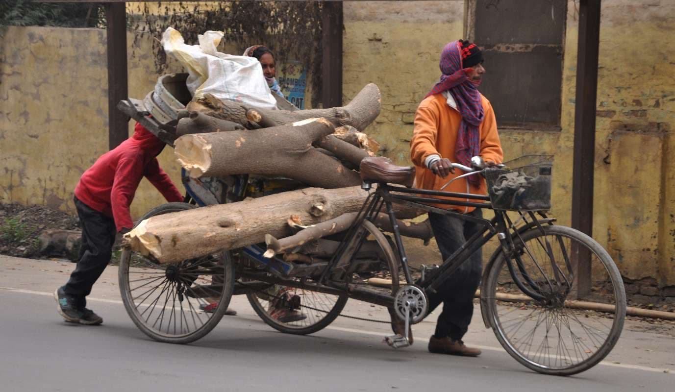 पिता की पीठ मजबूत करने का प्रयास.......देखें ख़ास तस्वीरें