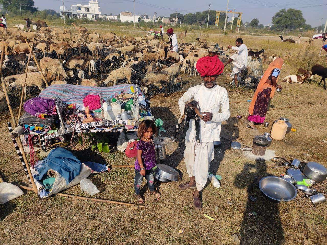 The herds of Marwar arrived and started staying here for eight months