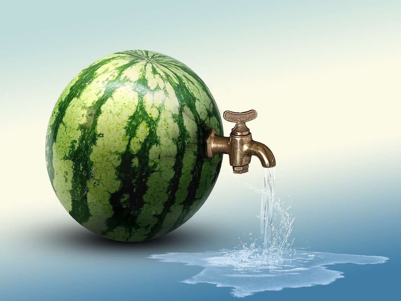 watermelon9.jpg