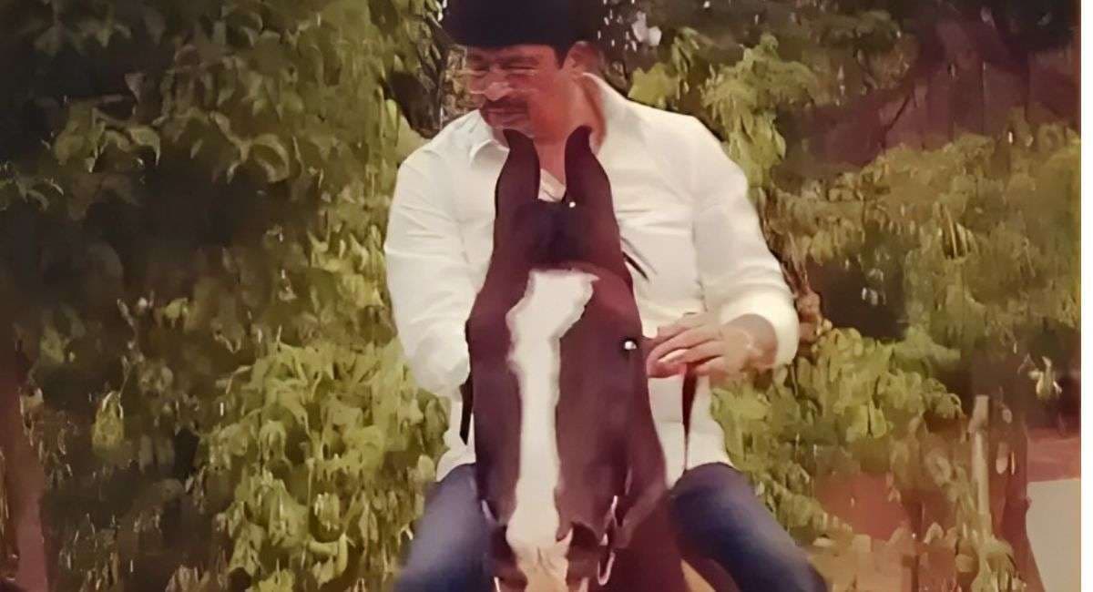 raja_bhaiya_horse.jpg