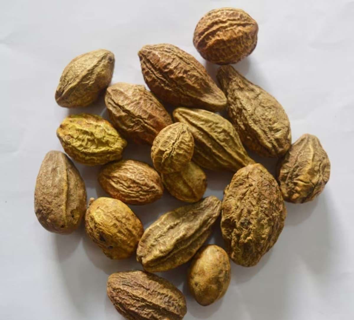 harad-for-health.jpg