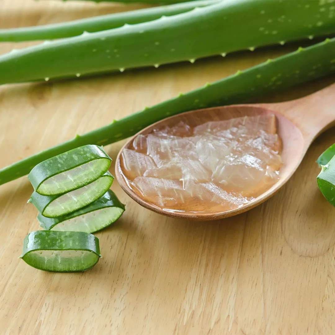 aloevera.jpg