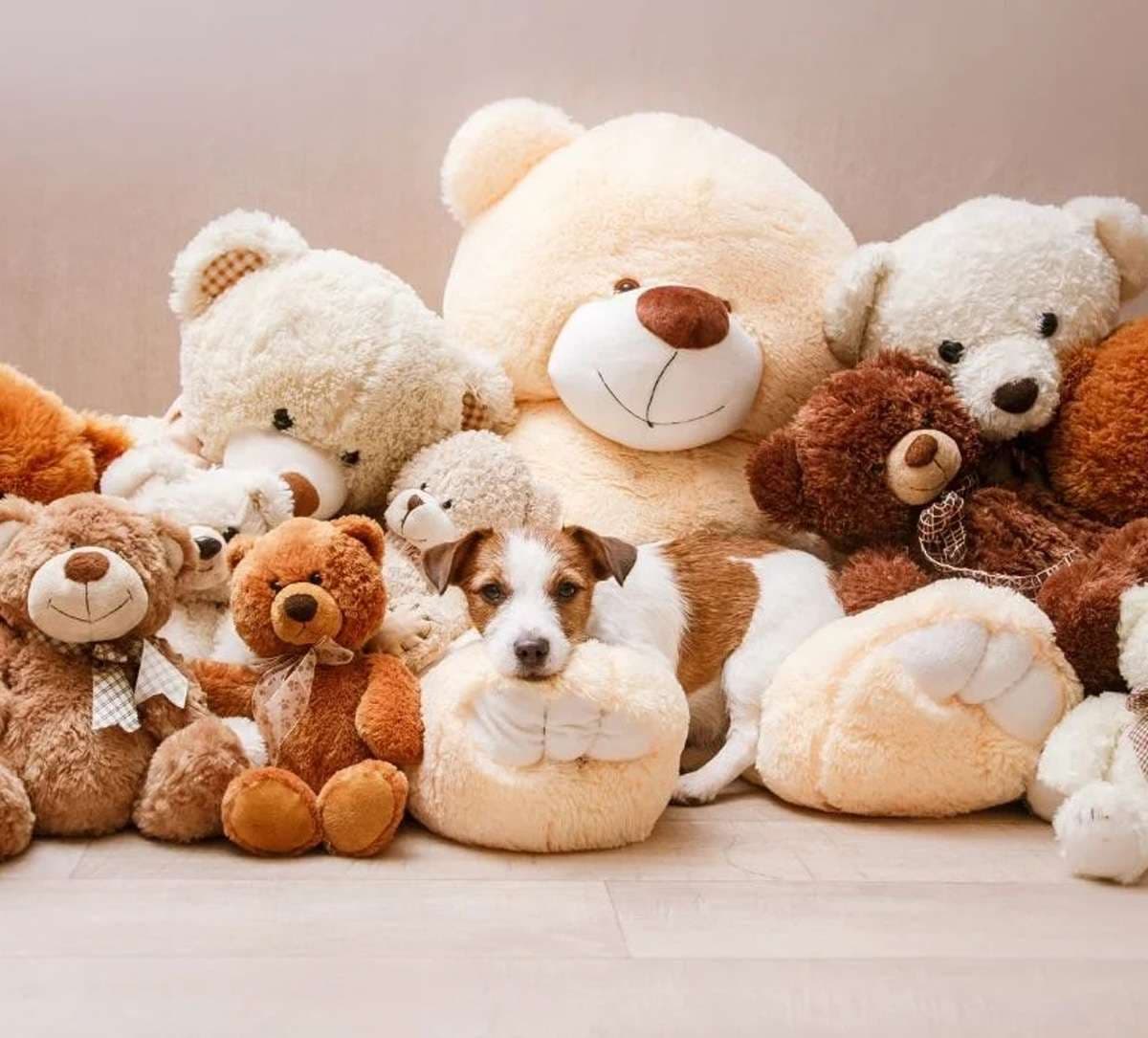 teddy-day.jpg