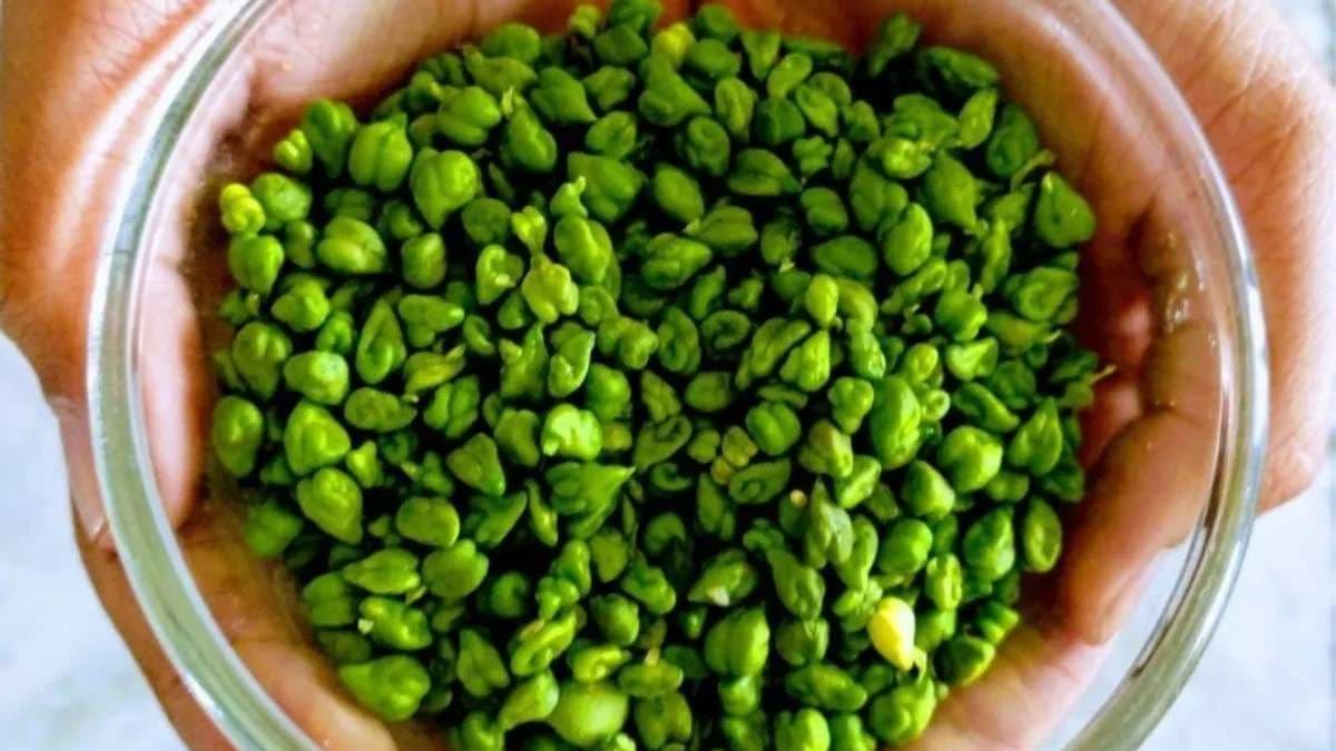 green-chana-sprouts.jpg