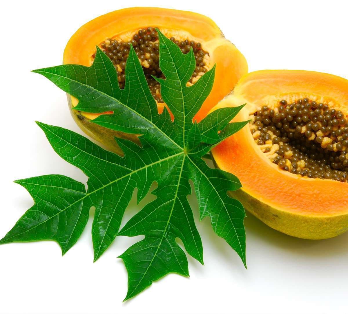 papaya-leaf-juice.jpg