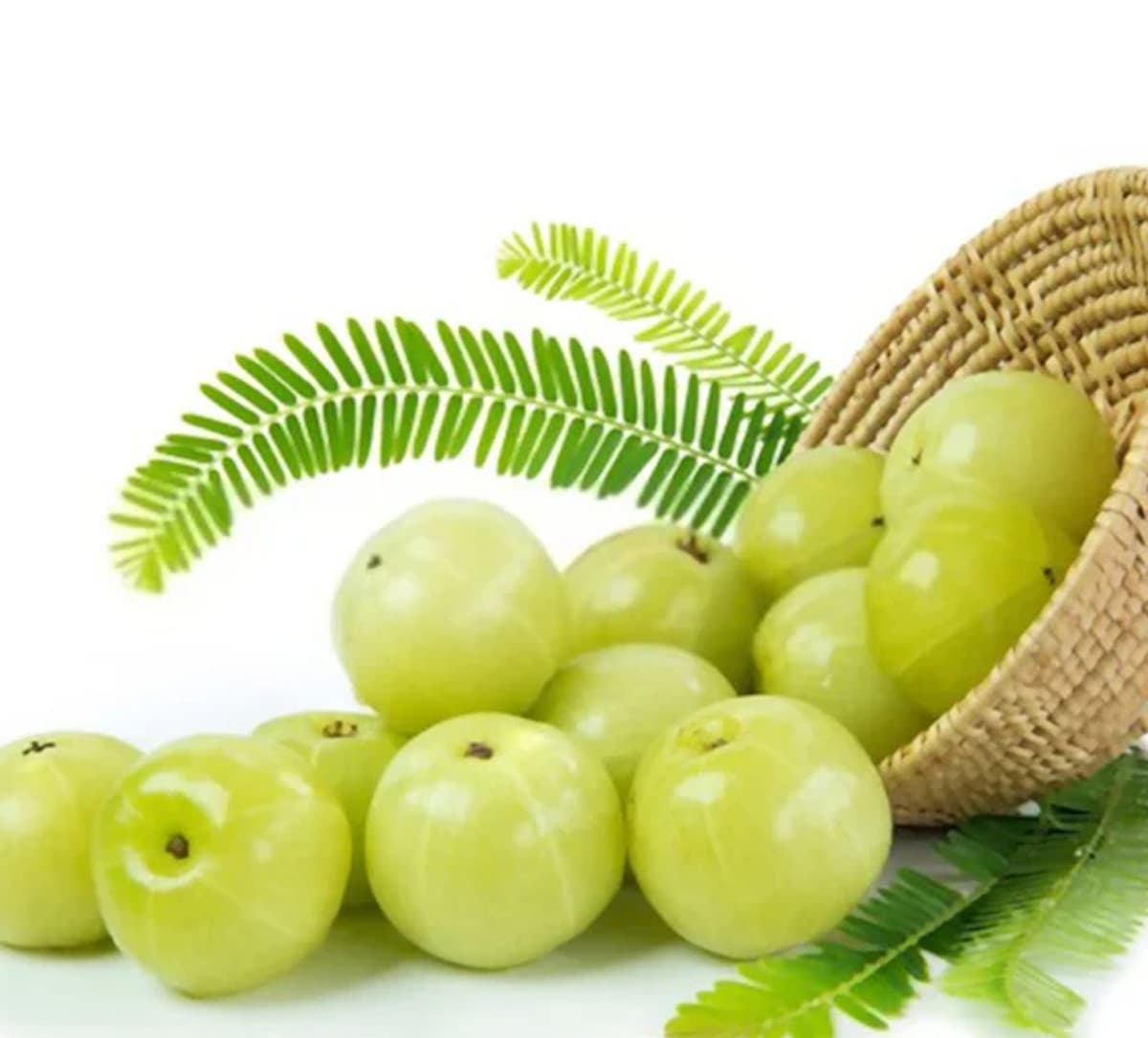 amla delights for a vibrant, healthy you