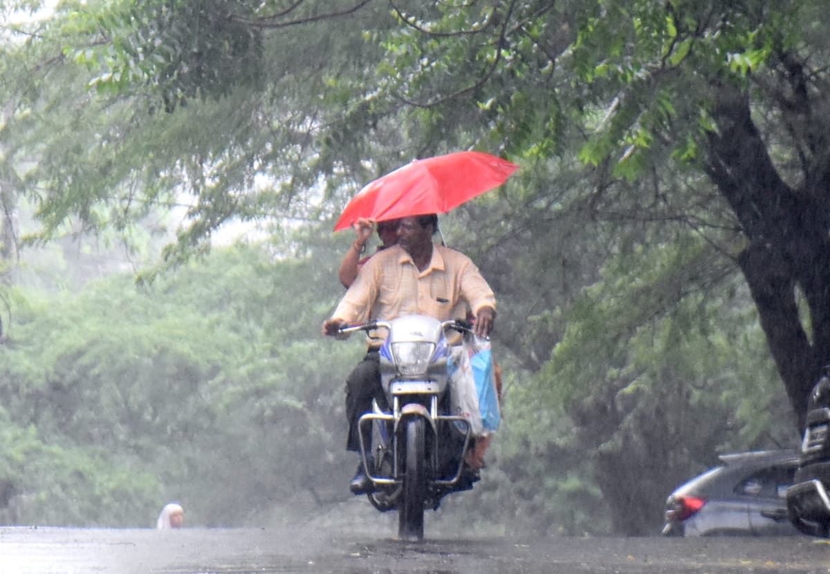 Rain In Bhopal