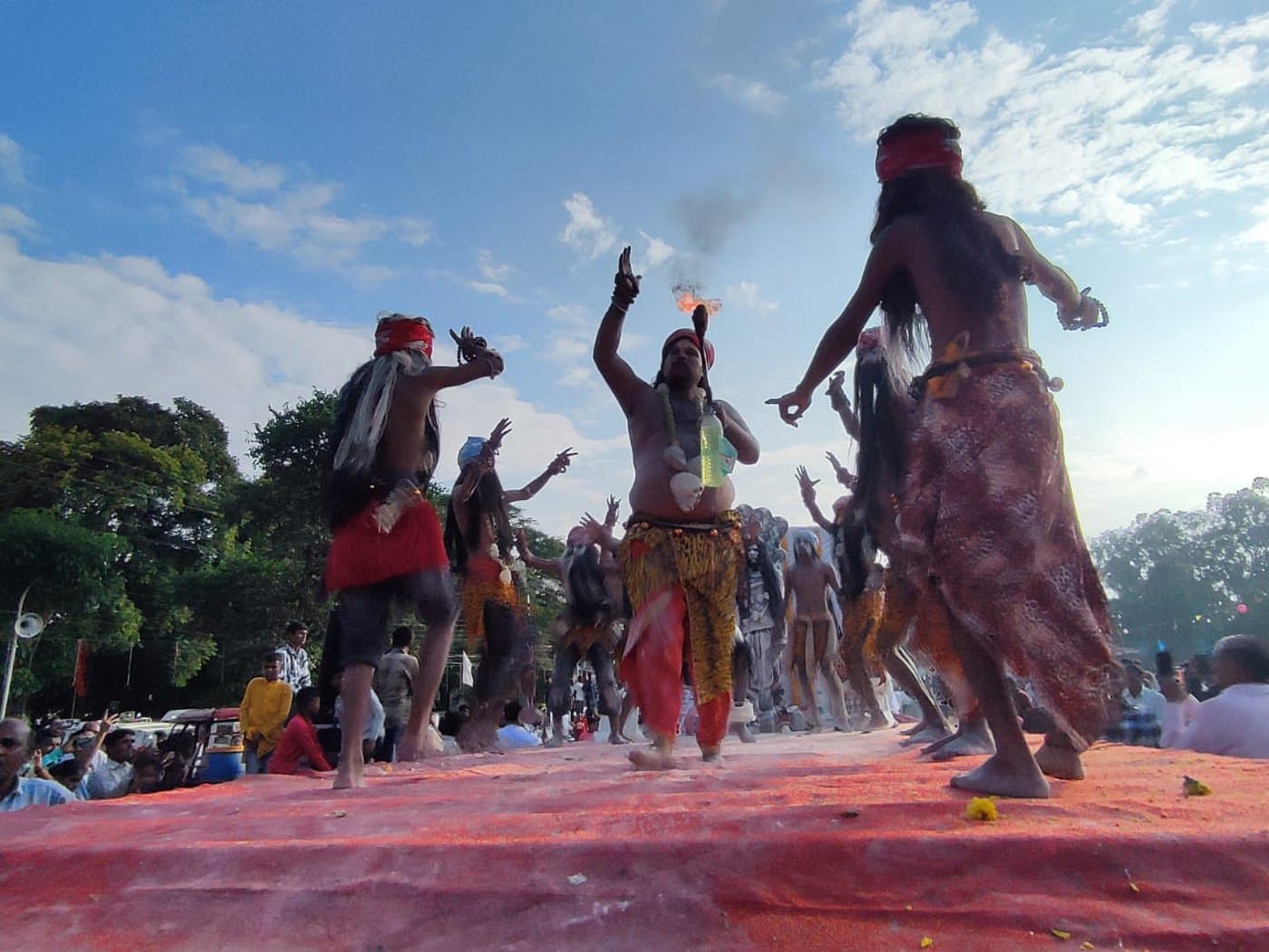 Pola festival celebrated with the worship of bull pairs