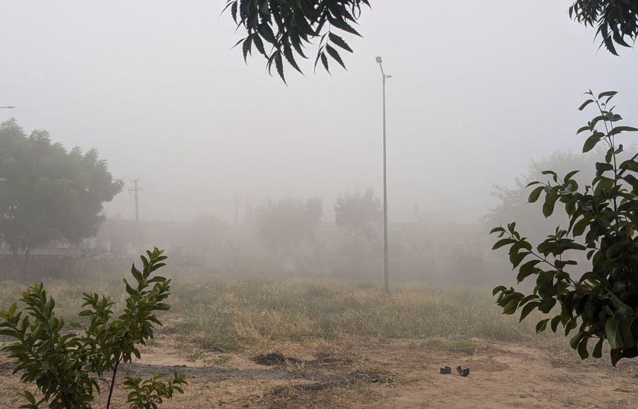 Changed weather: First fog of winter in Nagaur