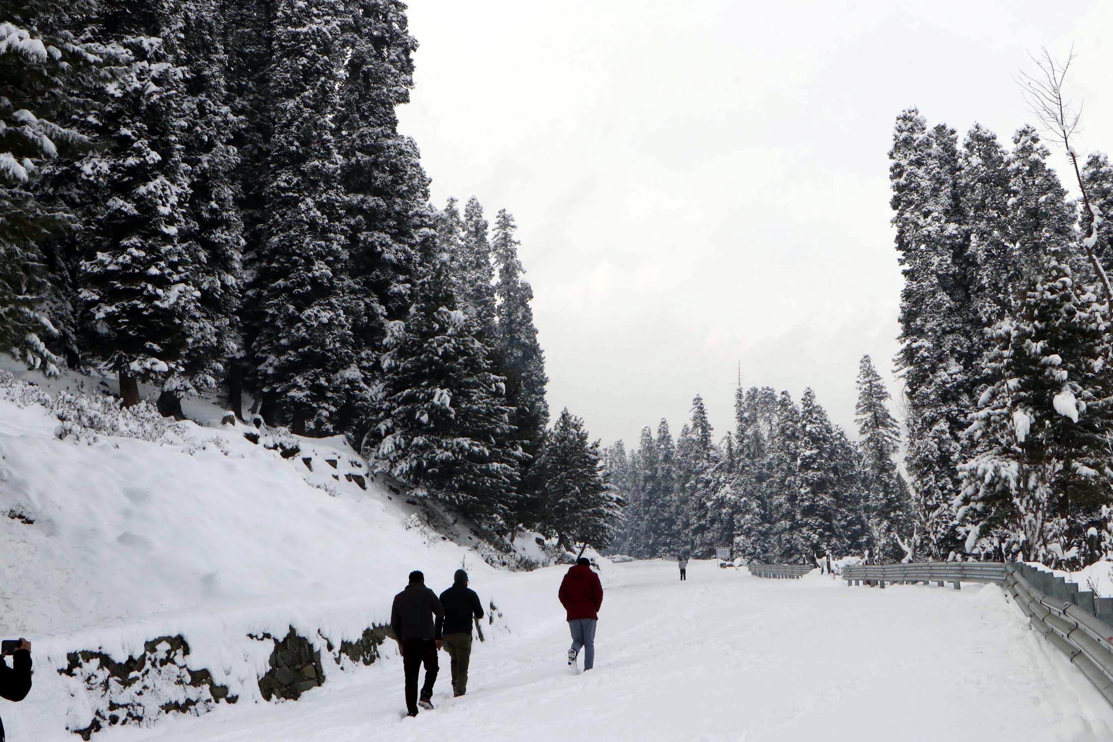 jammu kashmir snowfall 