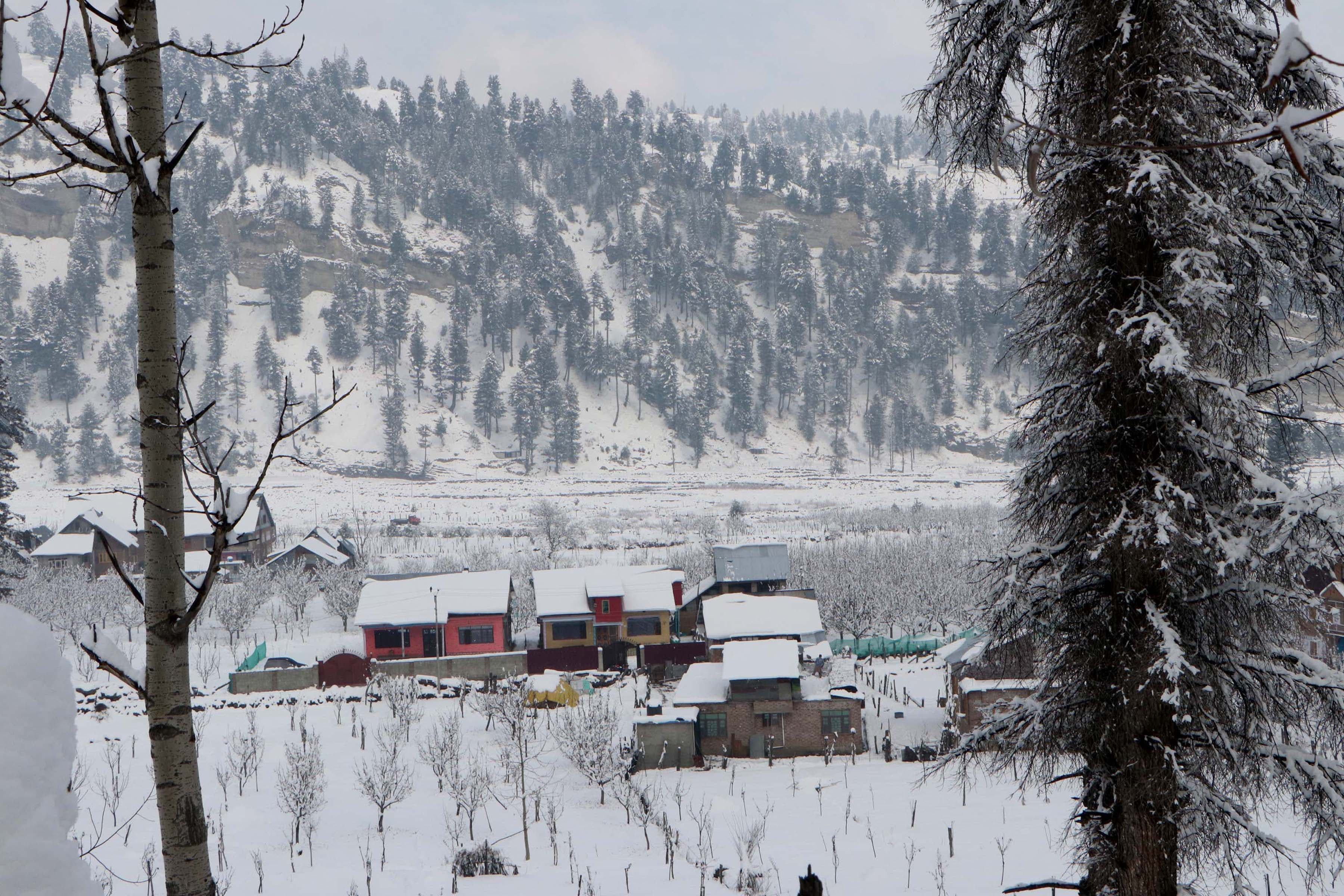 jammu kashmir snowfall 