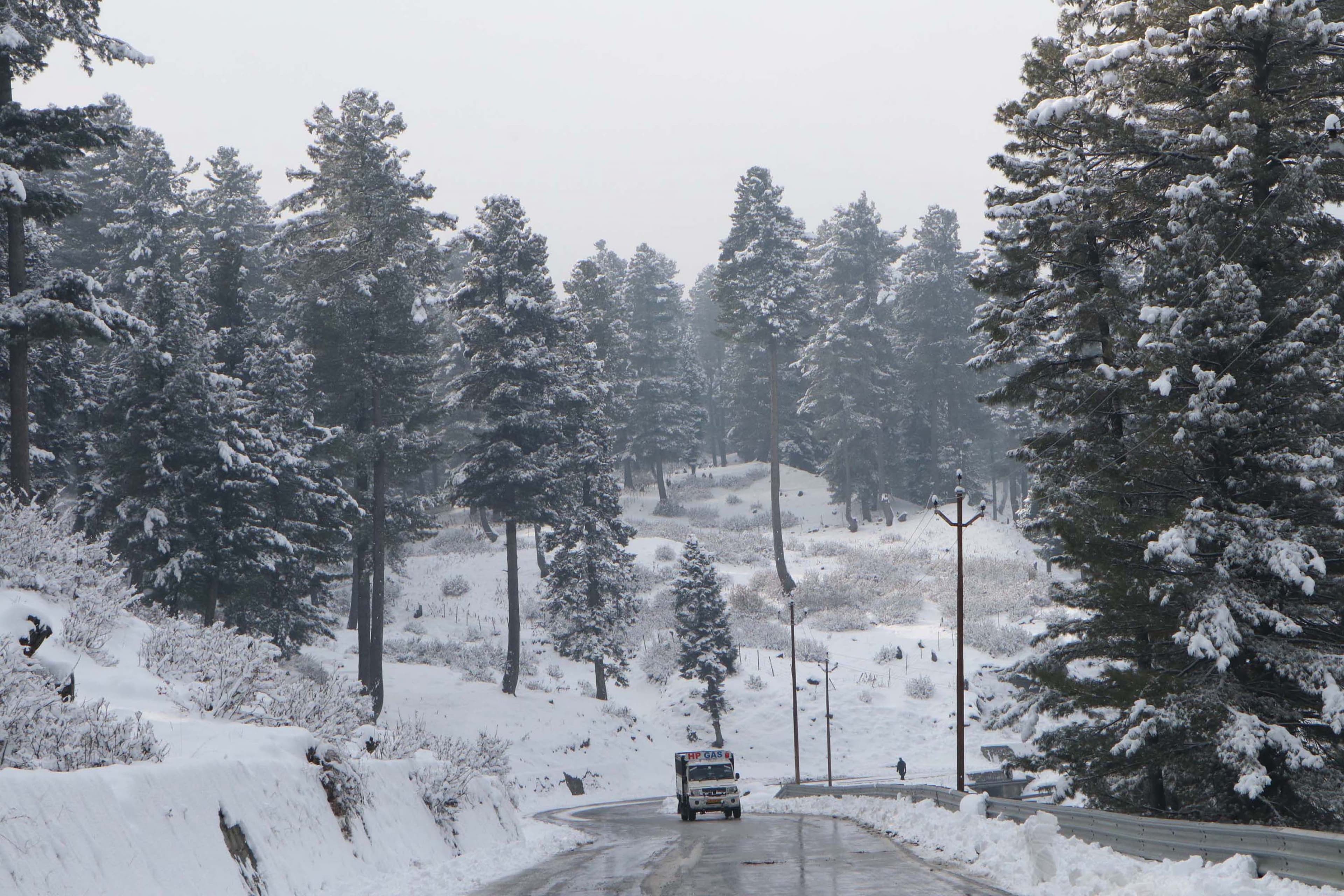 jammu kashmir snowfall 