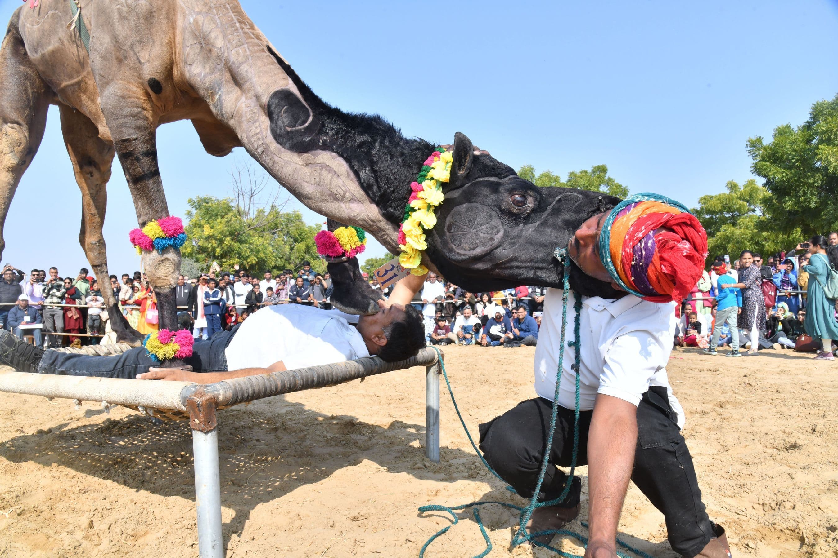 international international festival