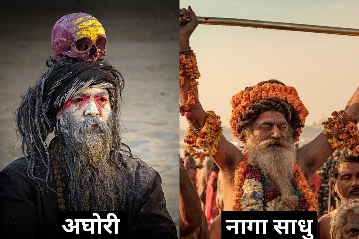 Aghori vs Naga Sadhu