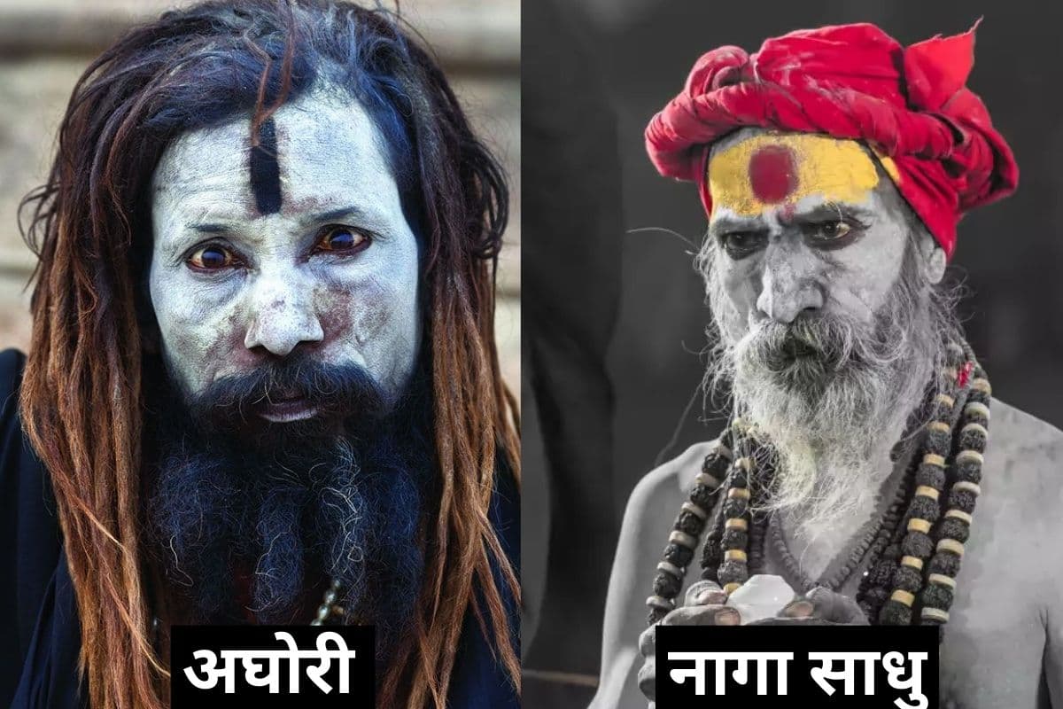 Aghori vs Naga Sadhu