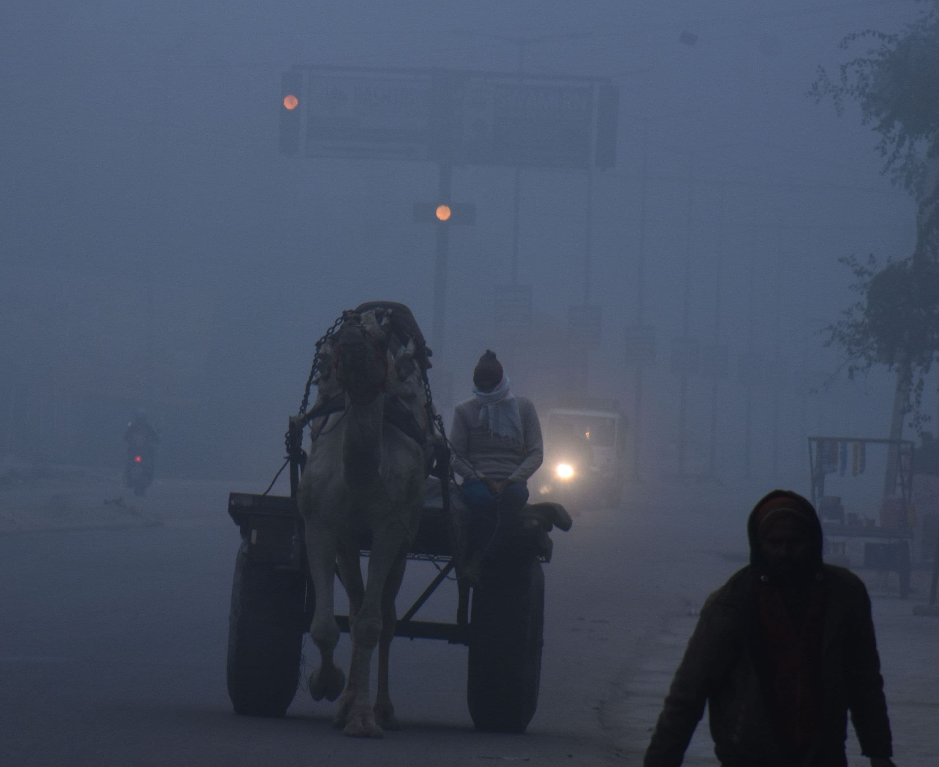 fog in bikaner