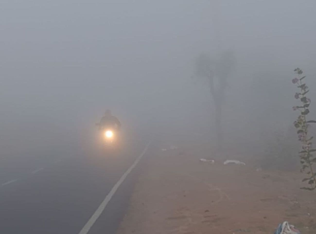 Fog and winter return again in Nagaur