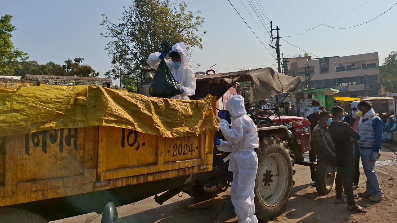 Bird flu in Chhindwara