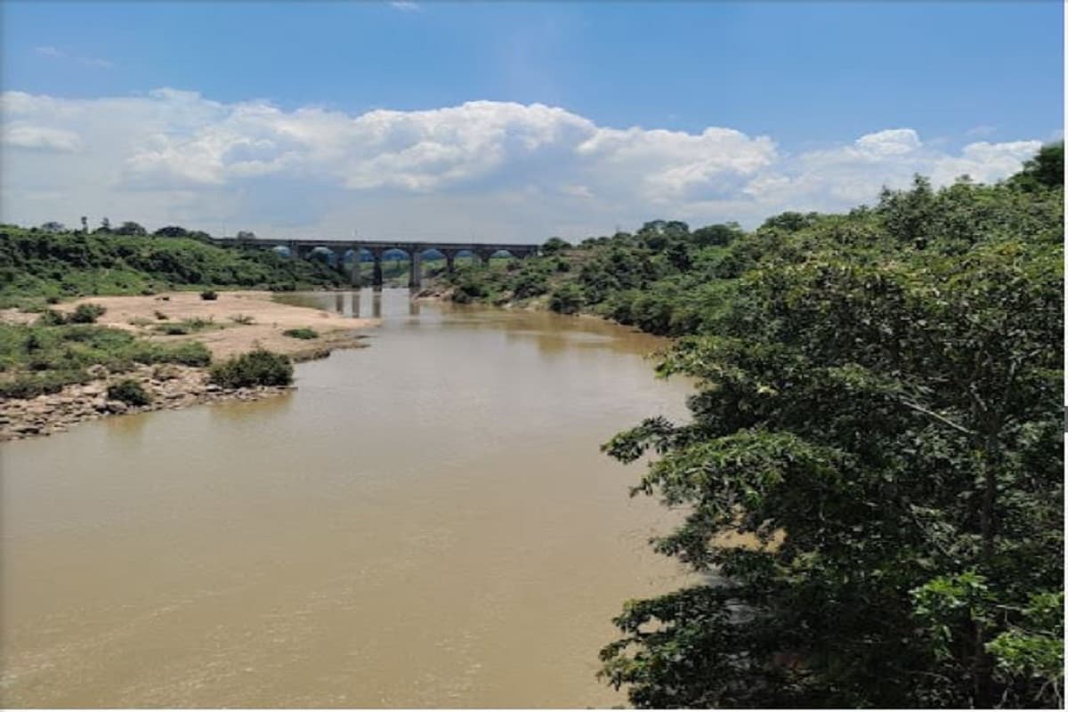 करोड़ों साल पहले समुद्र के नीचे था छत्तीसगढ़, समुद्री जीवाश्मों का राज खोलता यह पार्क, देखें तस्वीरें