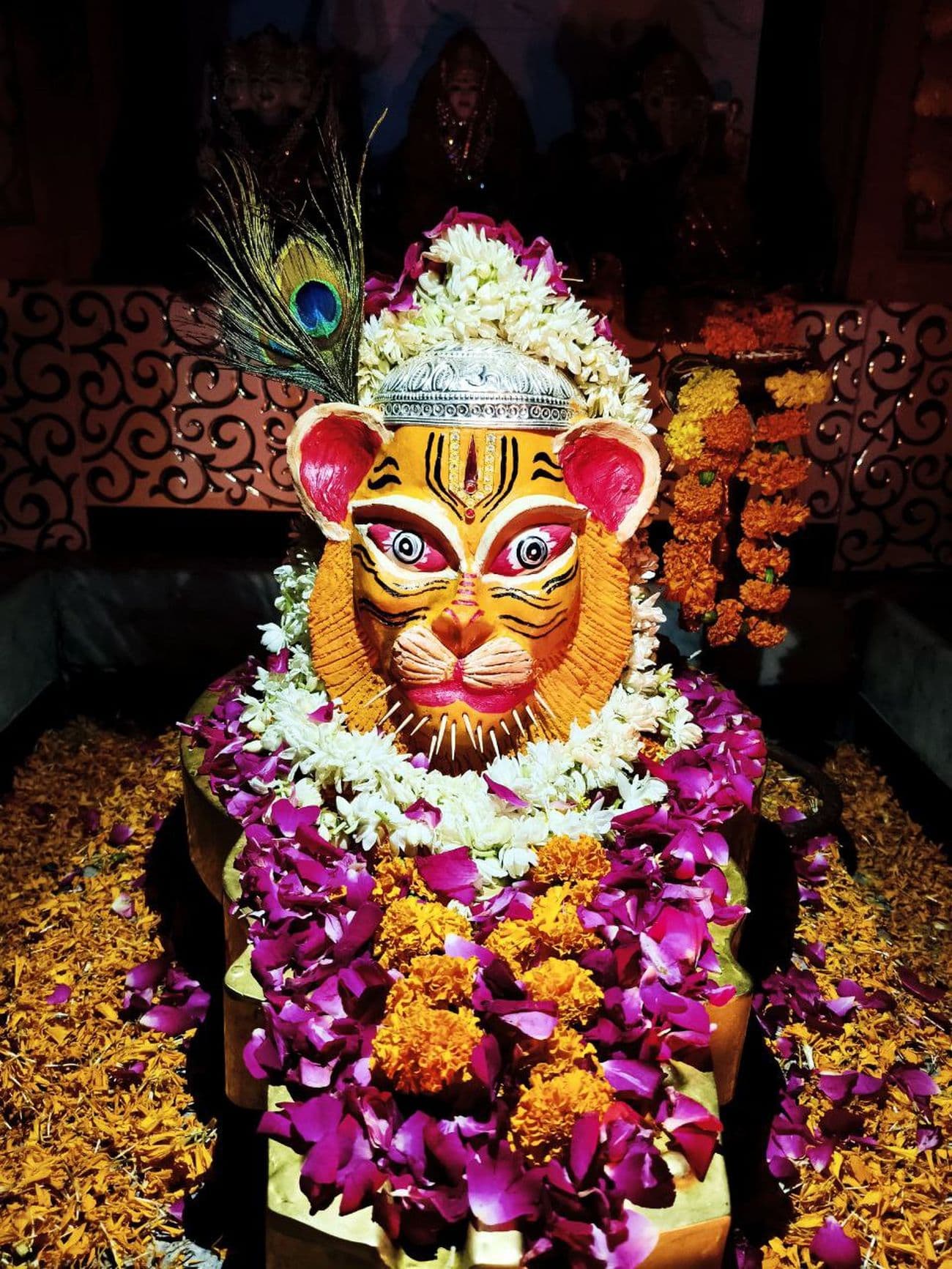 Lord Narasimha appeared after tearing the pillar, killed Hiranyakashyap, echoed cheers
