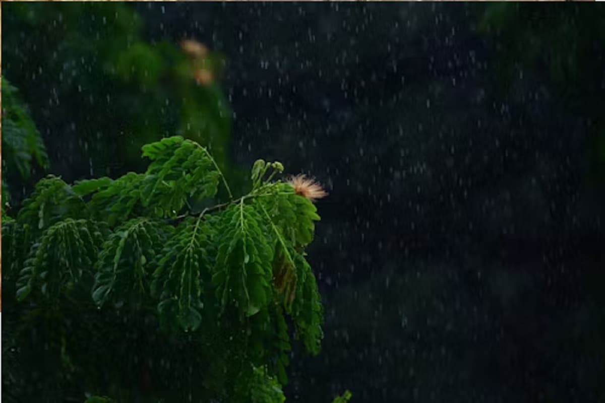Monsoon Update 2025