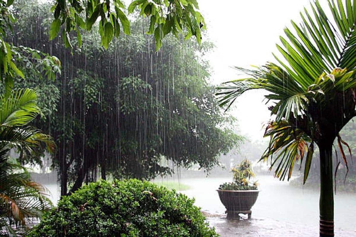 Monsoon Update 2025
