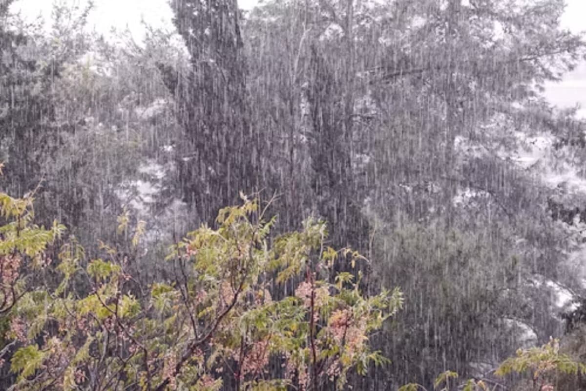 CG Monsoon 2025: मानसून का रौद्र रूप! अगले 3 दिनों तक इन जिलों में होगी भारी बारिश, Alert जारी
