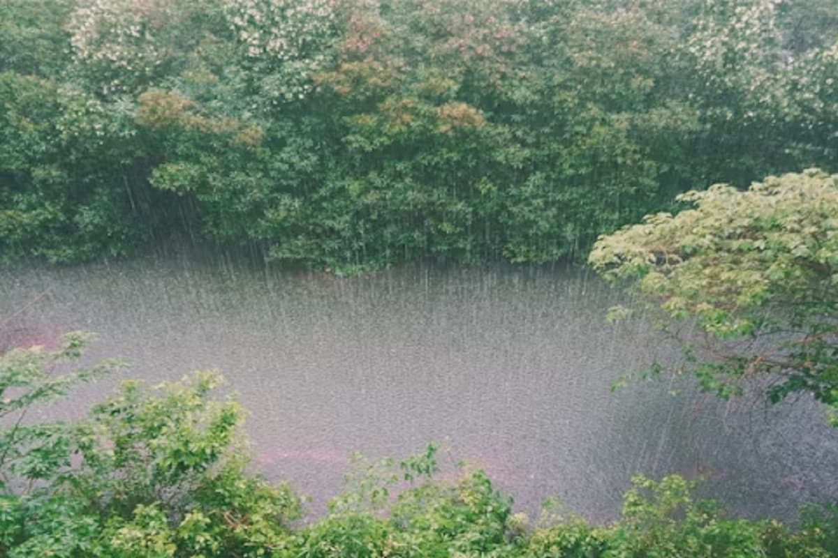 CG Weather Update: IMD का बड़ा अपडेट! अगले पांच दिनों तक इन इलाकों में होगी बारिश, Alert जारी