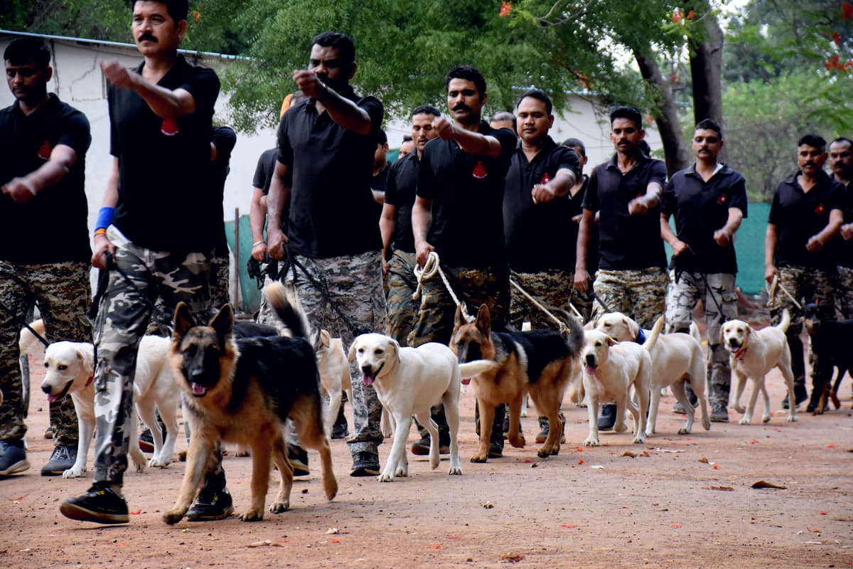 Police Spacial Dog