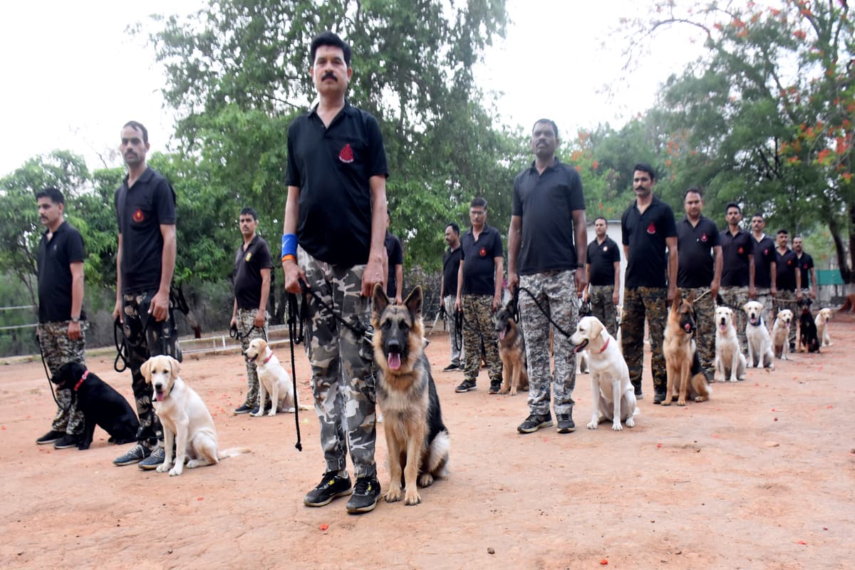 Police Spacial Dog