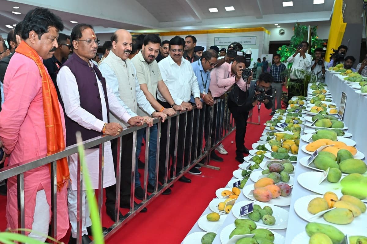 Mango Festival