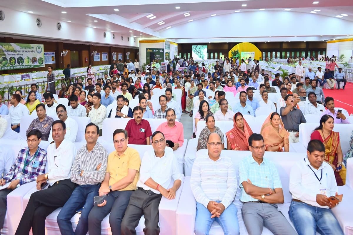 Mango Festival