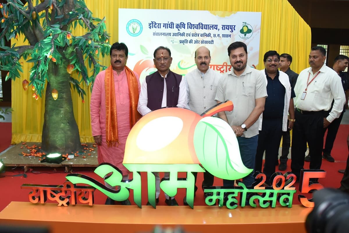 Mango Festival