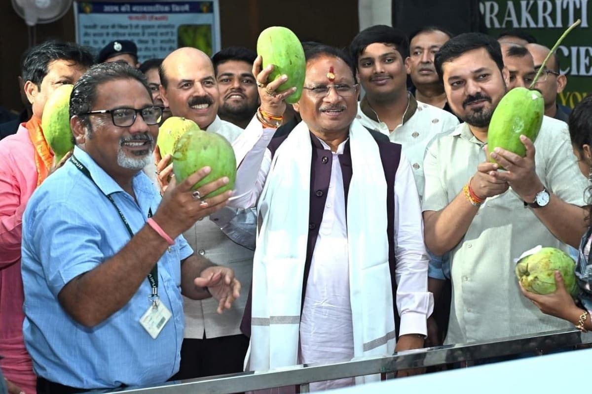 Mango Festival