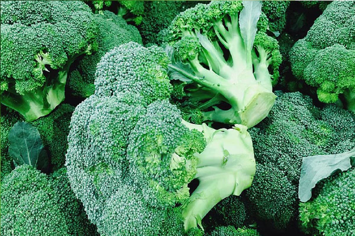 Monsoon Vegetable