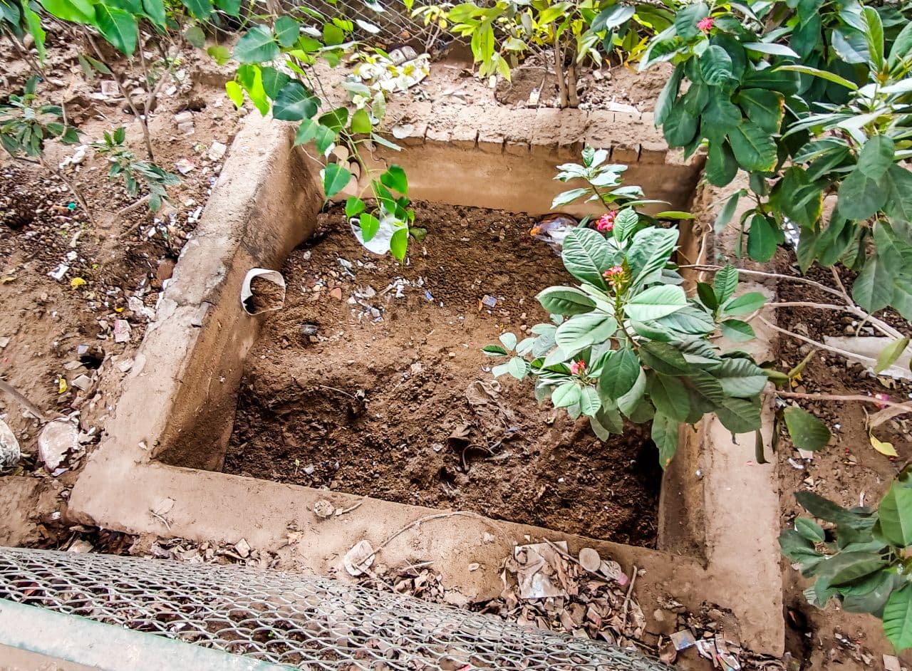 Rain water harvesting system 