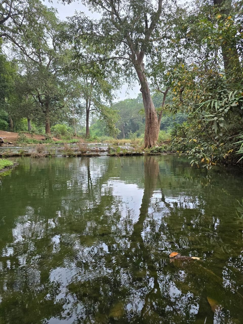CG Tourism: मानसून में बस्तर की प्राकृतिक खूबसूरती का अनुभव, देखें तस्वीरें 
