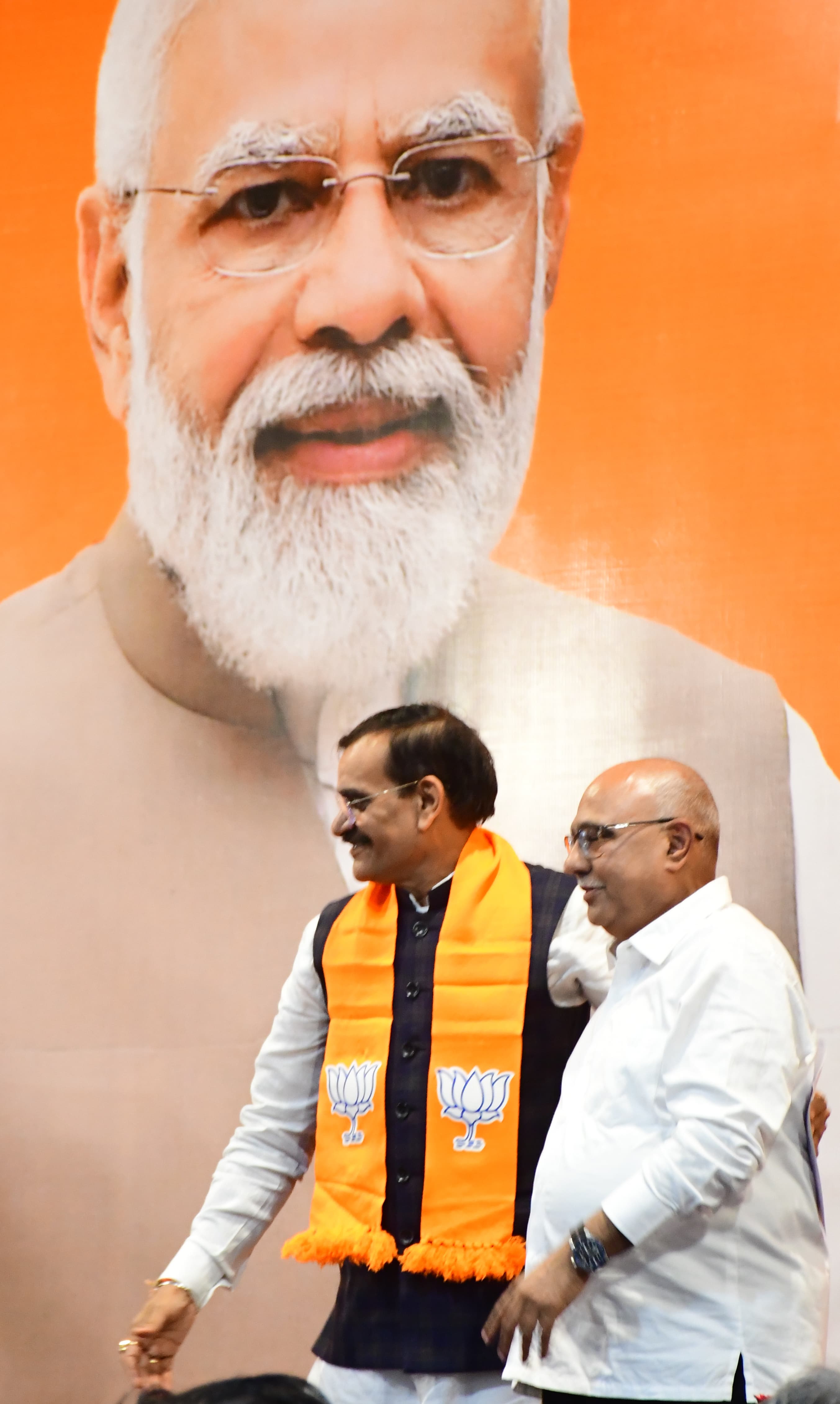 mp news