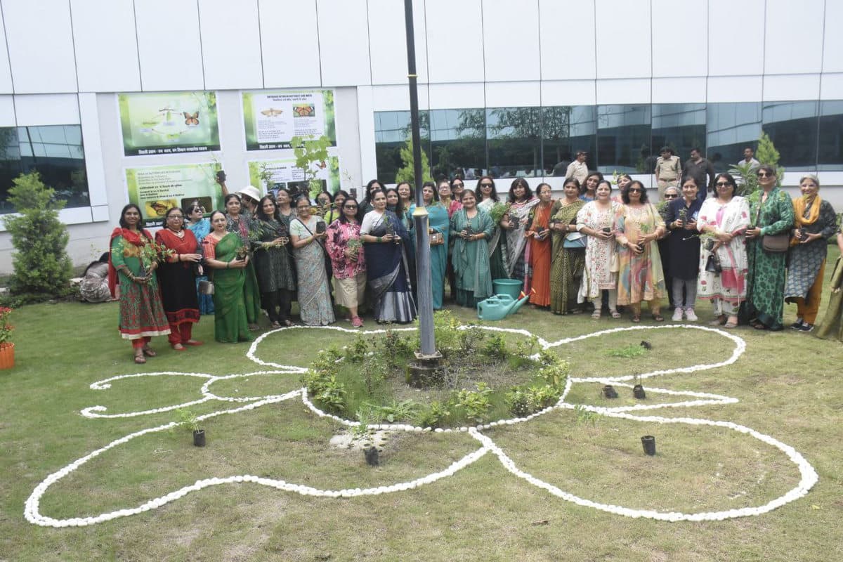butterfly gardan