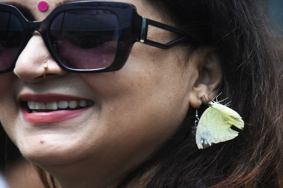 butterfly gardan
