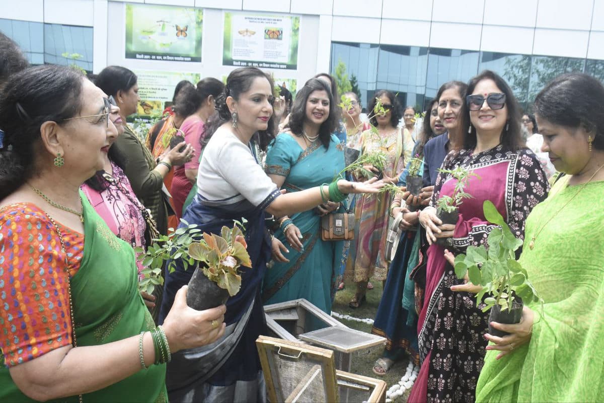 butterfly gardan