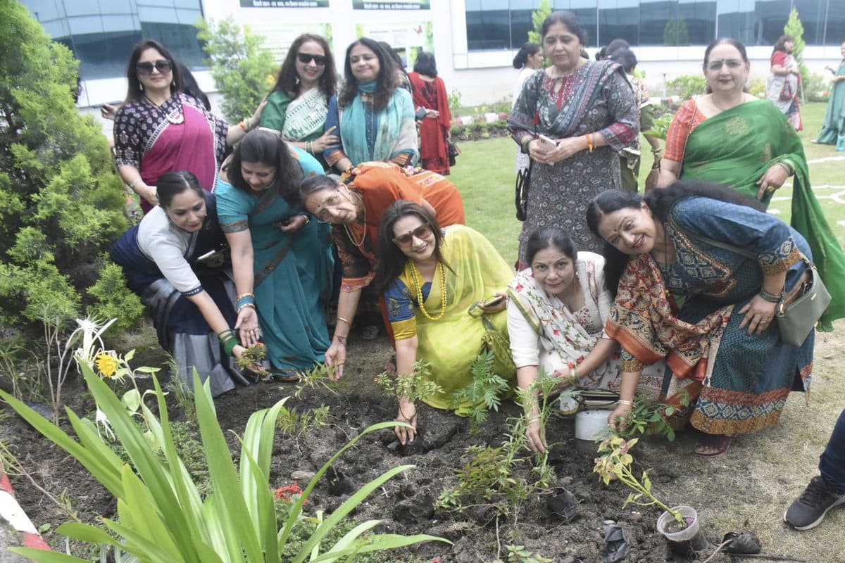 butterfly gardan