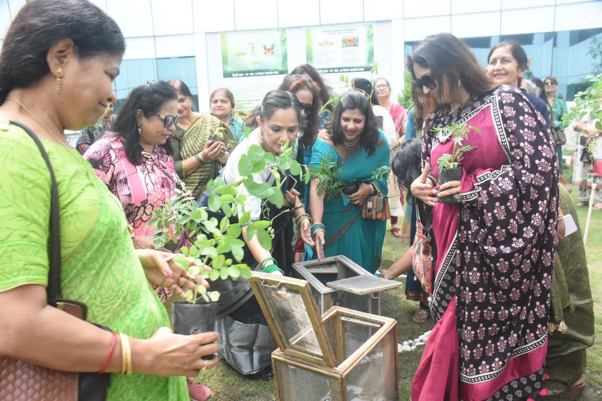 butterfly gardan